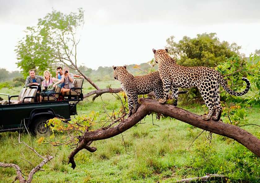 Yala, National park in Down South